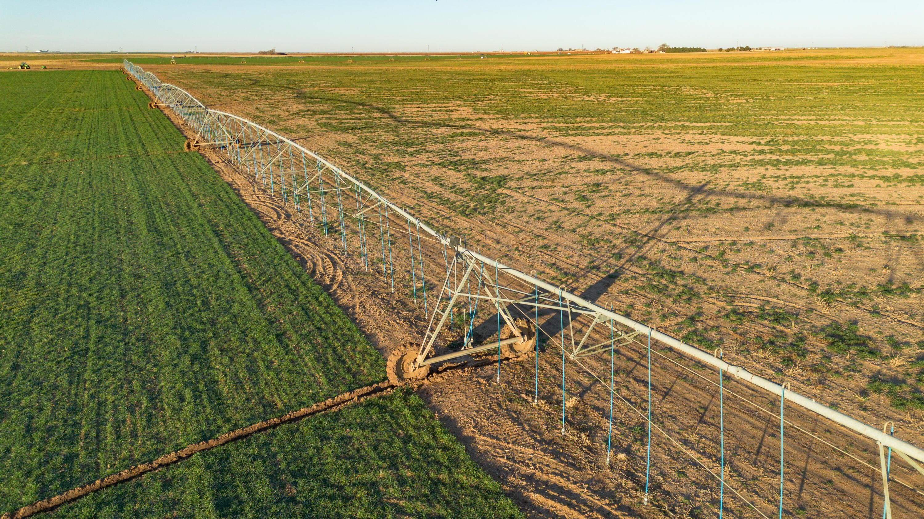 Te Velde Irrigated Farm, Dimmitt, TX 79027, photo 58