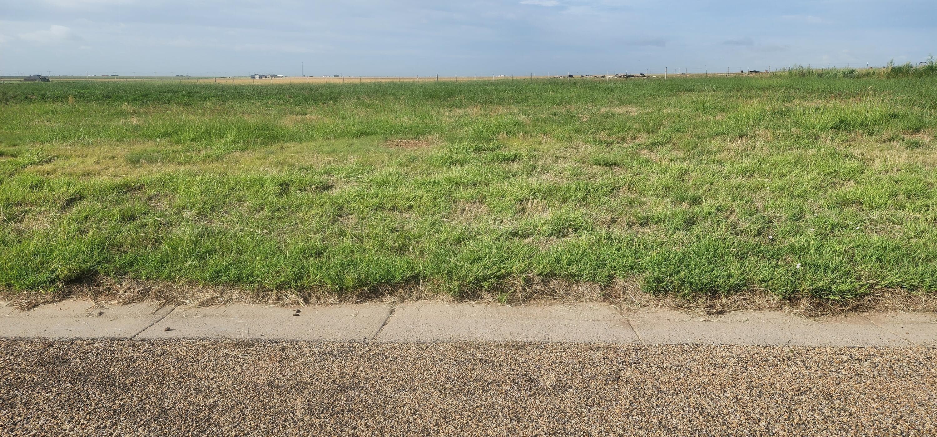 19501 BRIDLE TRAILS Drive, Amarillo, TX 79119-7860, photo 4