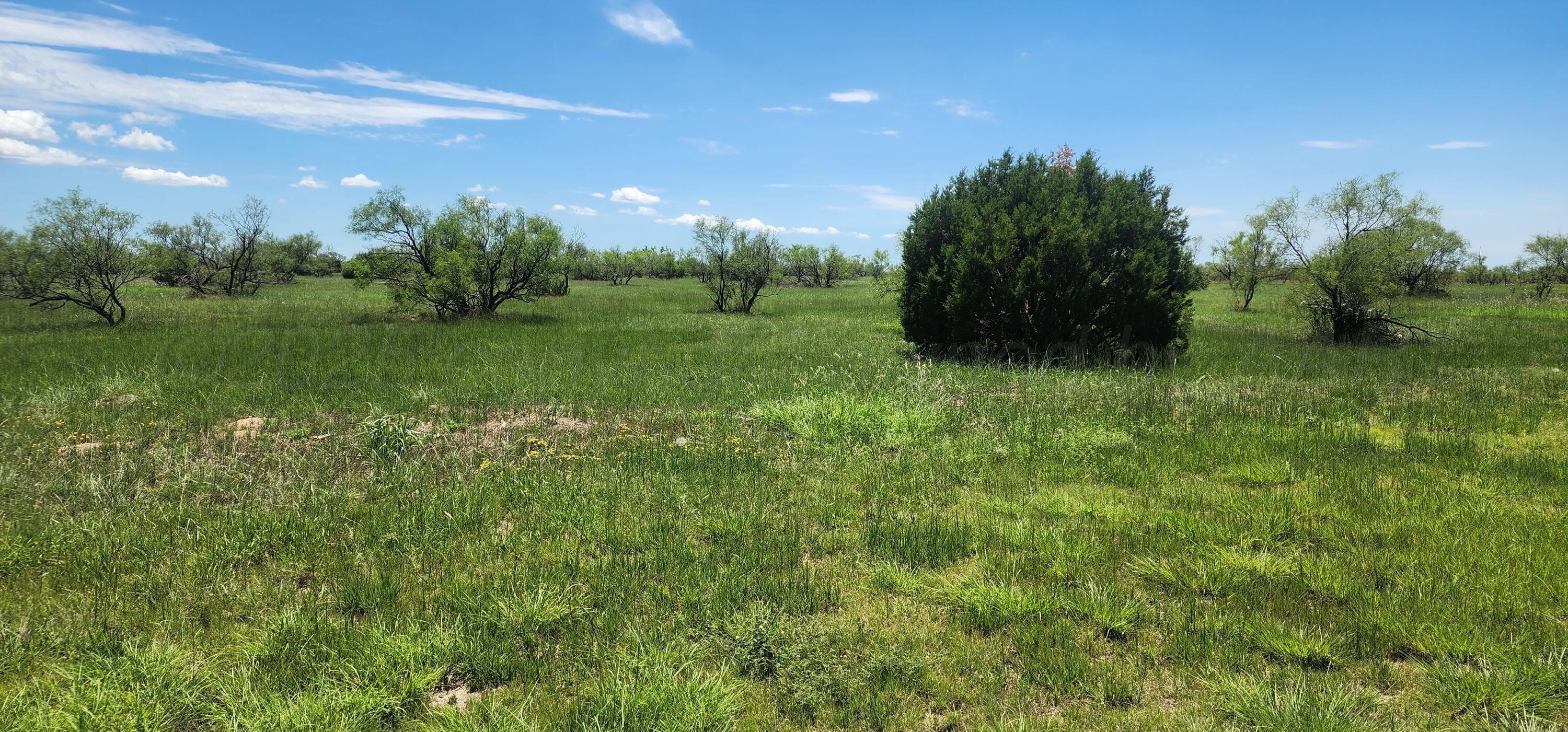 904 CANYON Parkway, Canyon, TX 79015, photo 6