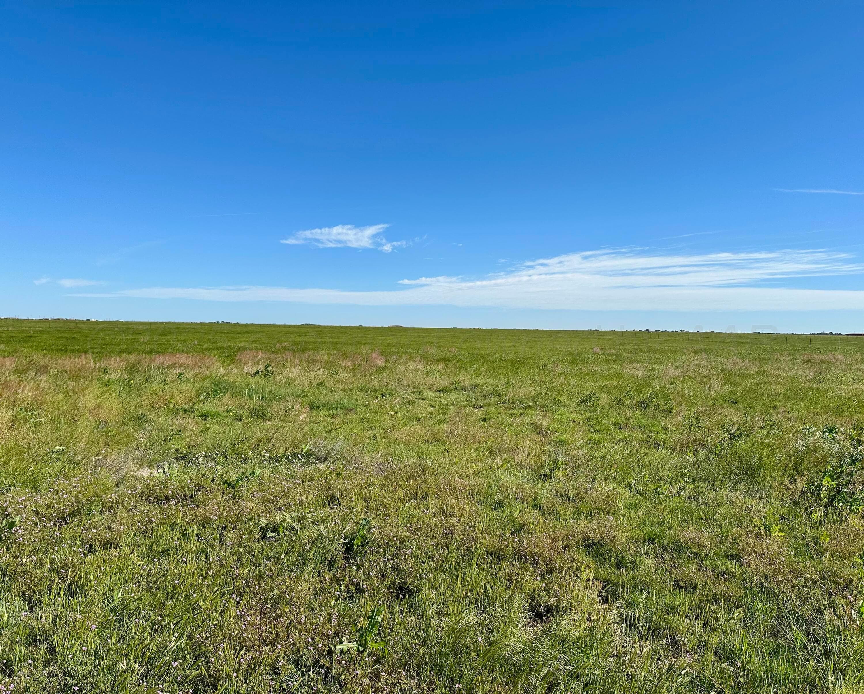 0 FM 1062 - 80 Acres, Canyon, TX 79015, photo 5
