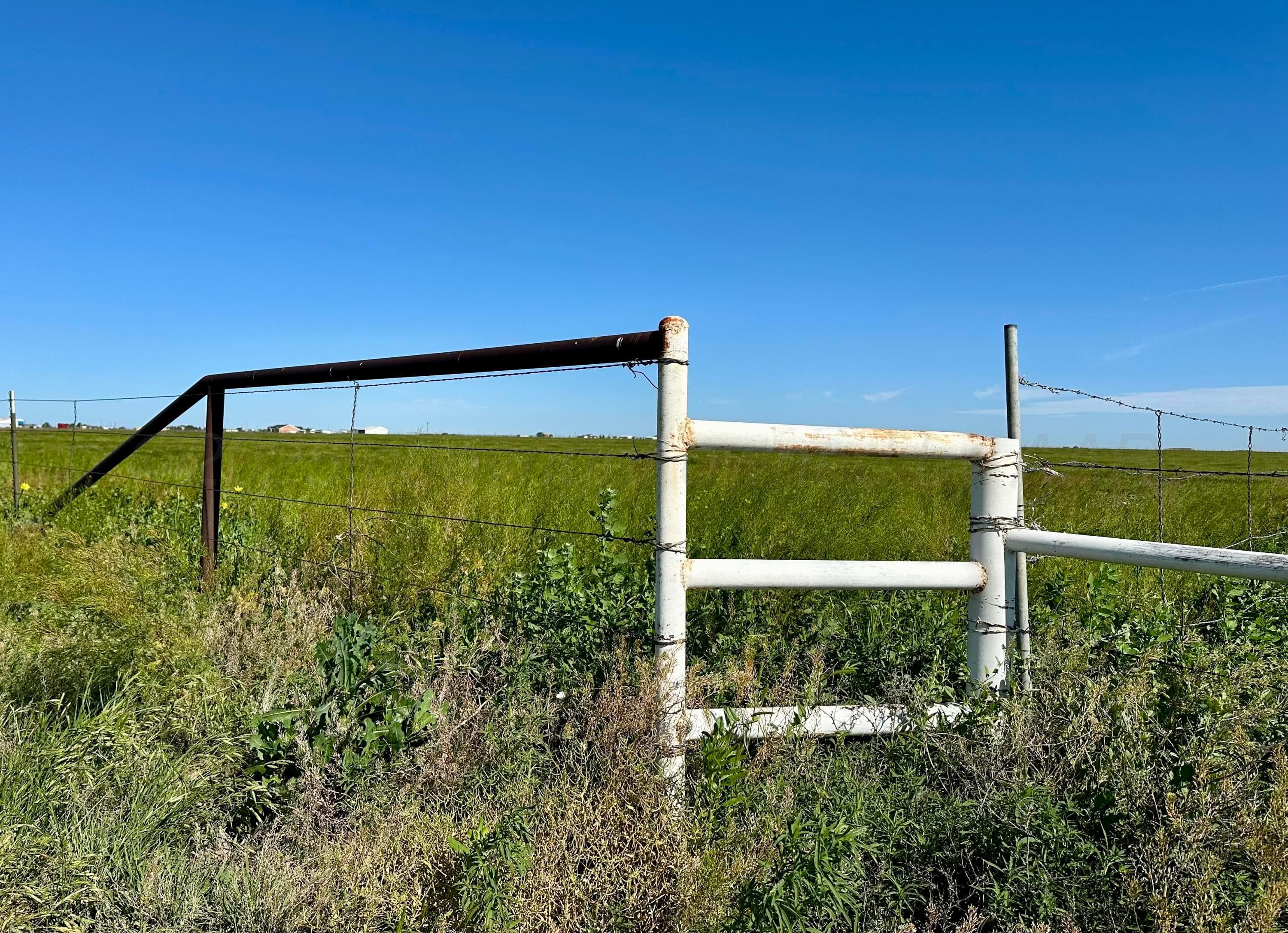0 FM 1062 - 80 Acres, Canyon, TX 79015, photo 9
