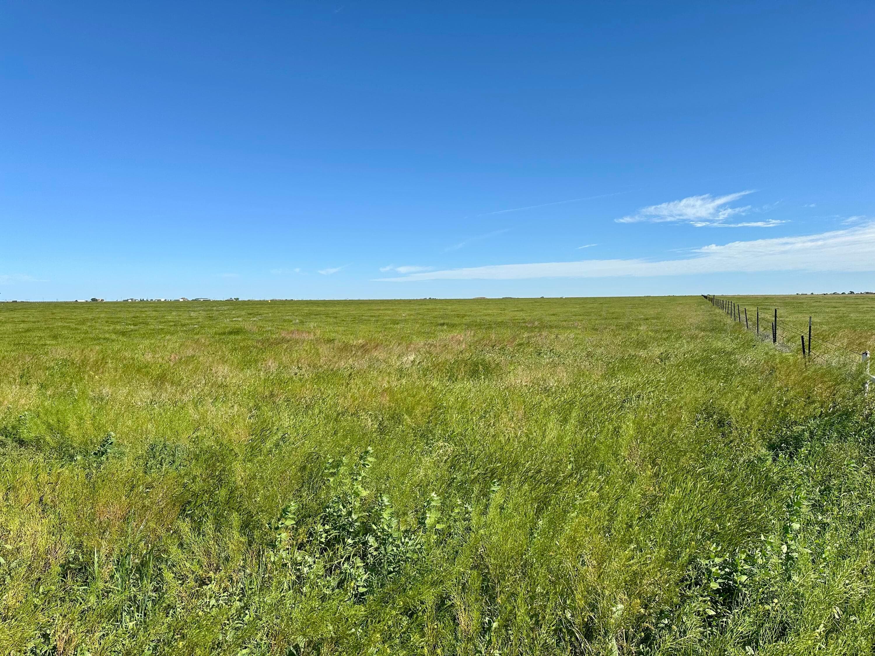 0 FM 1062 Tract 3, Canyon, TX 79015, photo 4