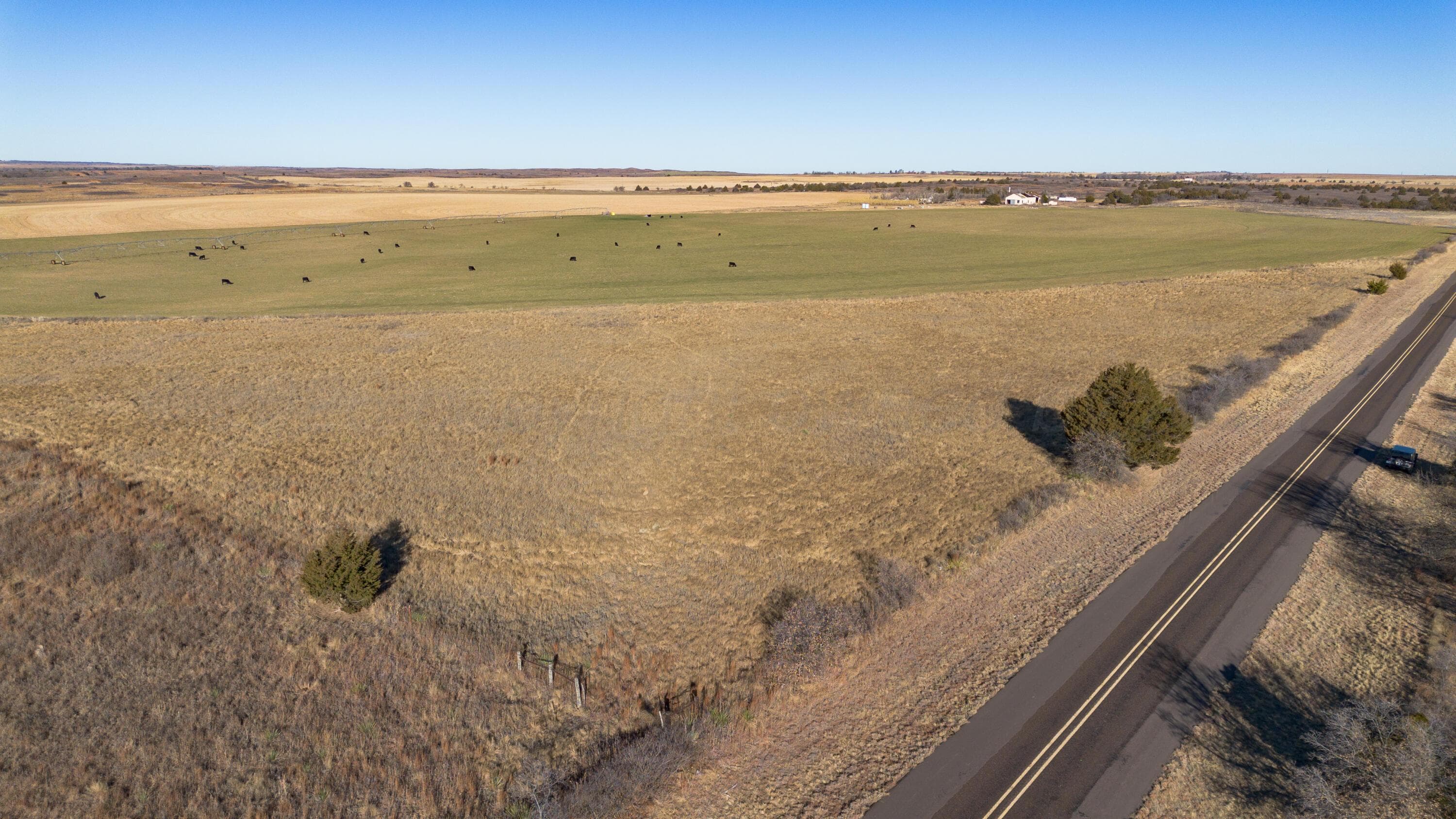 Coleman Tract 1 FM 453, Shamrock, TX 79079