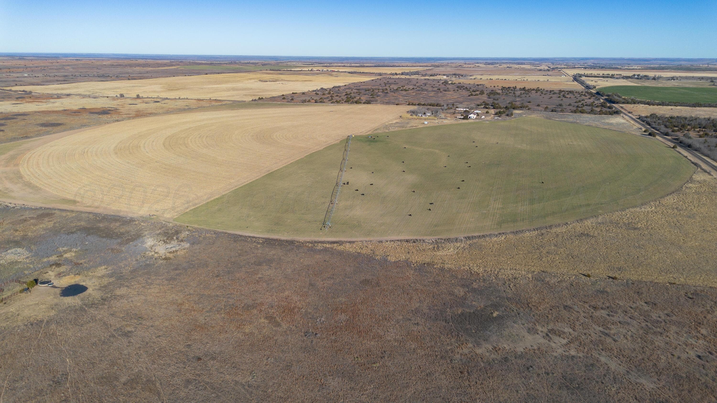 Coleman Tract 1 FM 453, Shamrock, TX 79079, photo 4