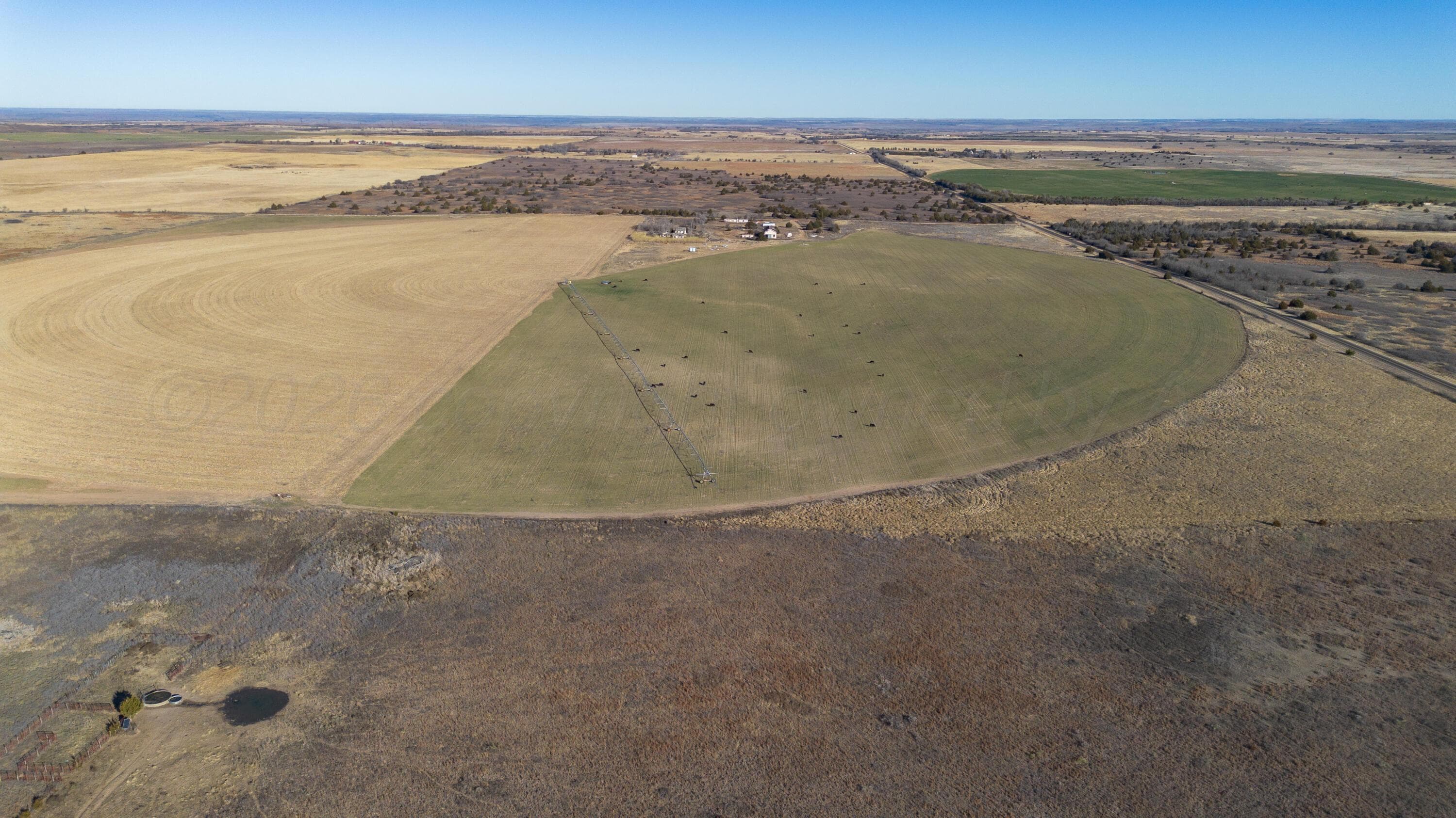 Coleman Tract 1 FM 453, Shamrock, TX 79079, photo 5