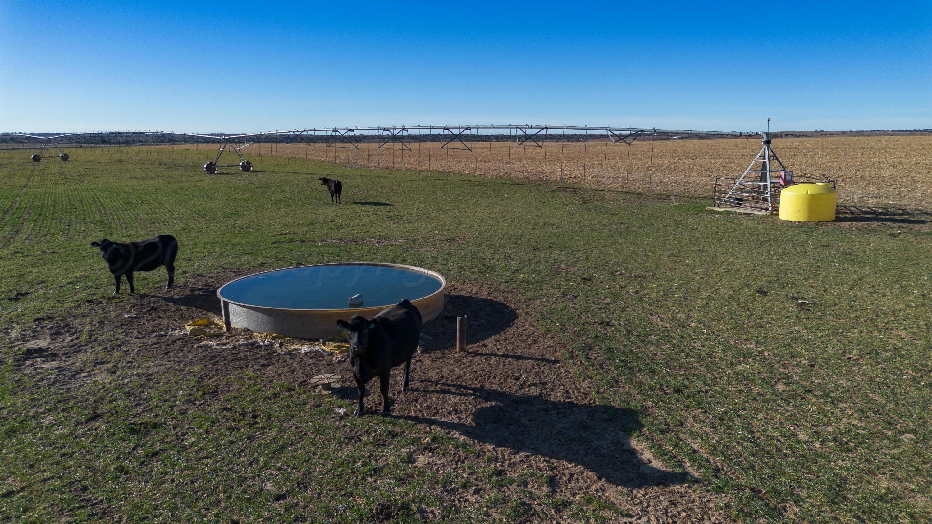 Coleman Tract 1 FM 453, Shamrock, TX 79079, photo 13