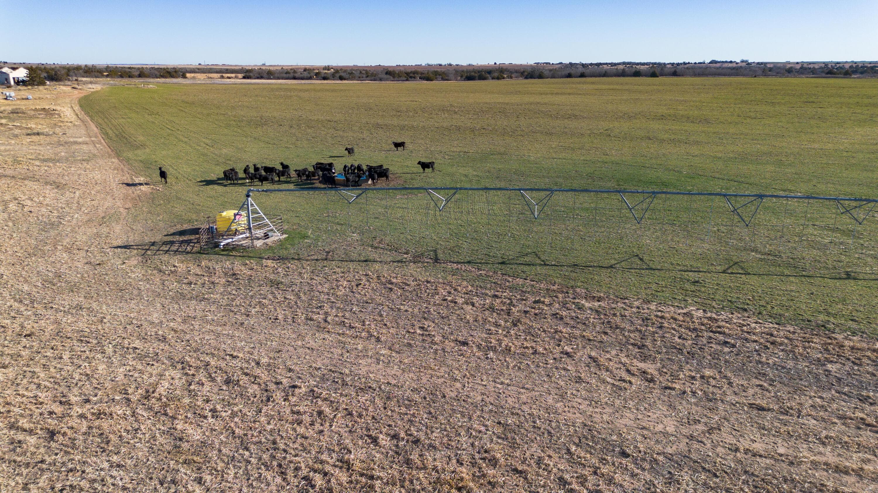 Coleman Tract 1 FM 453, Shamrock, TX 79079, photo 19