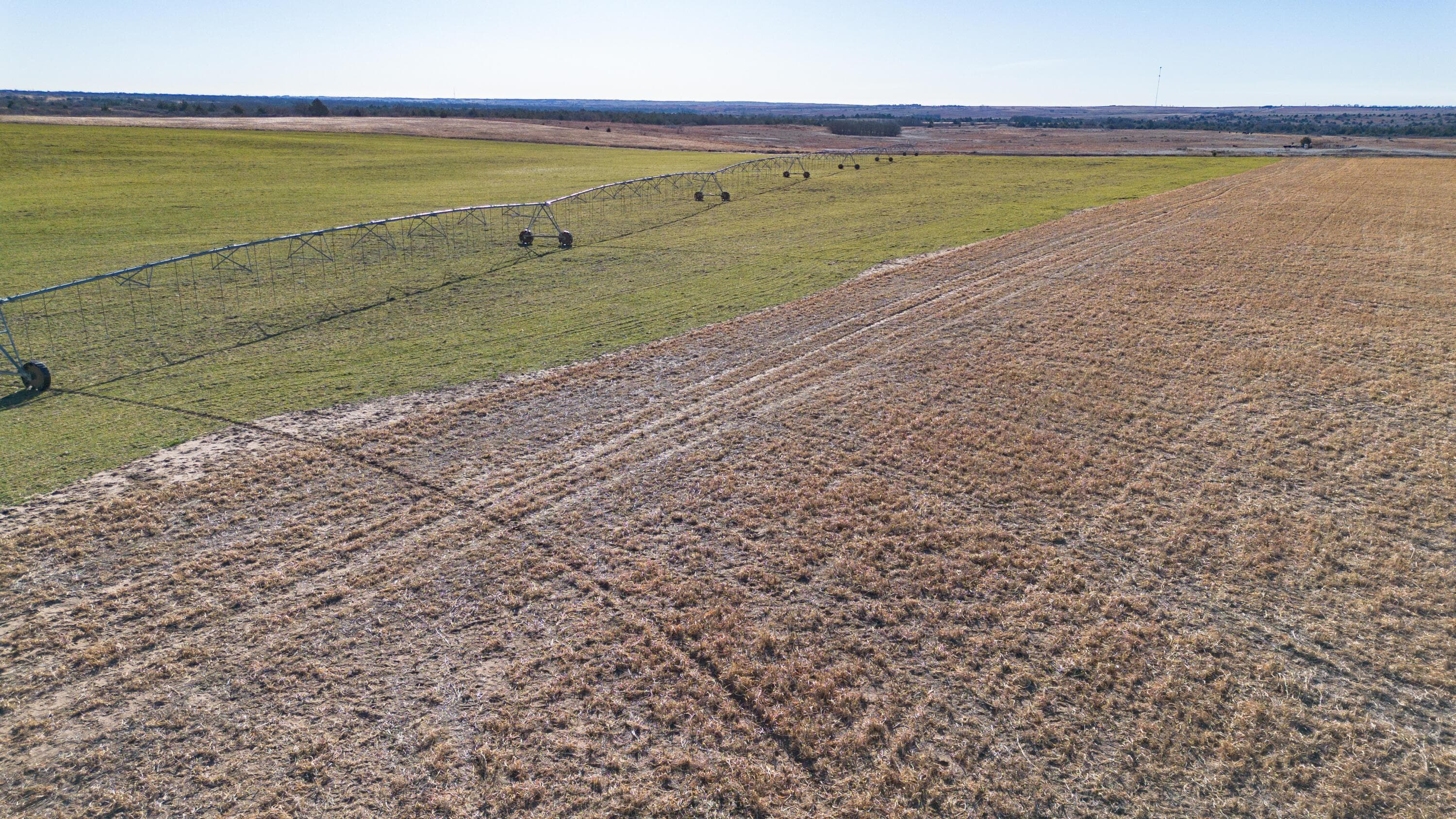 Coleman Tract 1 FM 453, Shamrock, TX 79079, photo 20