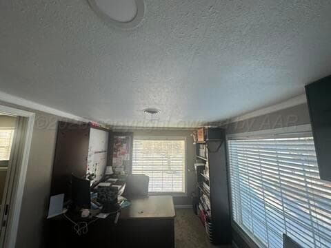 3721 County Road 12A, Hereford, TX 79045, photo 10