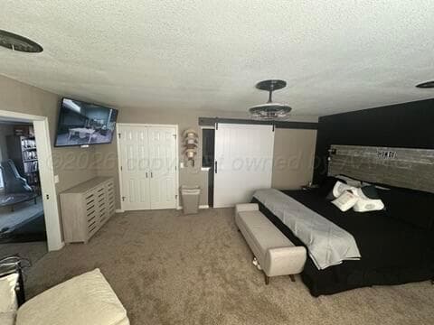 3721 County Road 12A, Hereford, TX 79045, photo 14
