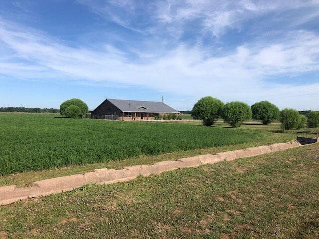 263 Hay Patch Drive, Fort Sumner, NM 88119, photo 5