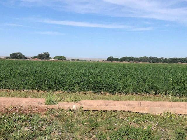 263 Hay Patch Drive, Fort Sumner, NM 88119, photo 6