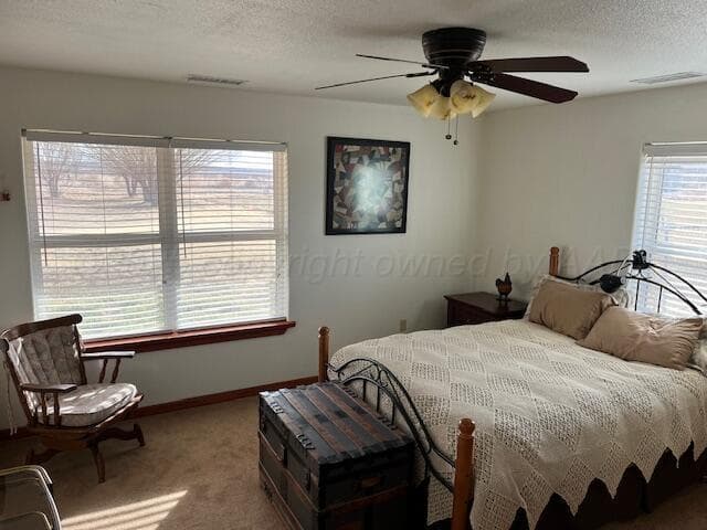 263 Hay Patch Drive, Fort Sumner, NM 88119, photo 11
