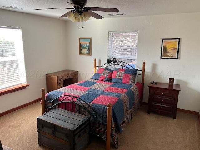 263 Hay Patch Drive, Fort Sumner, NM 88119, photo 13