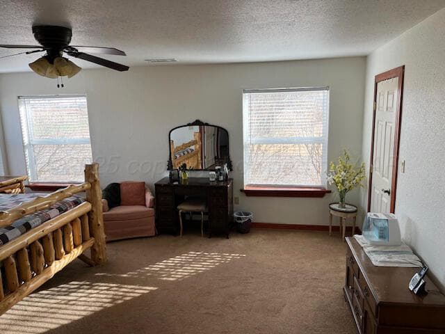 263 Hay Patch Drive, Fort Sumner, NM 88119, photo 15