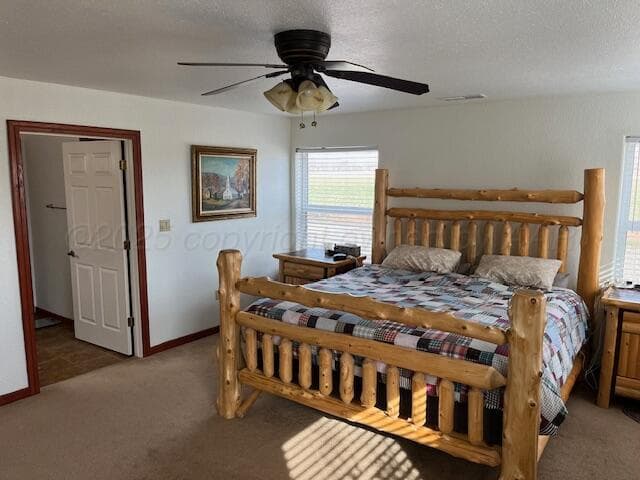 263 Hay Patch Drive, Fort Sumner, NM 88119, photo 16