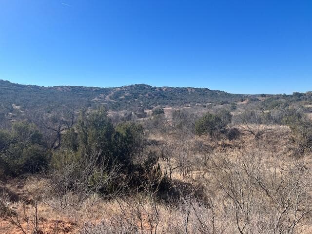 HIghway 70, Turkey, TX 79261, photo 7