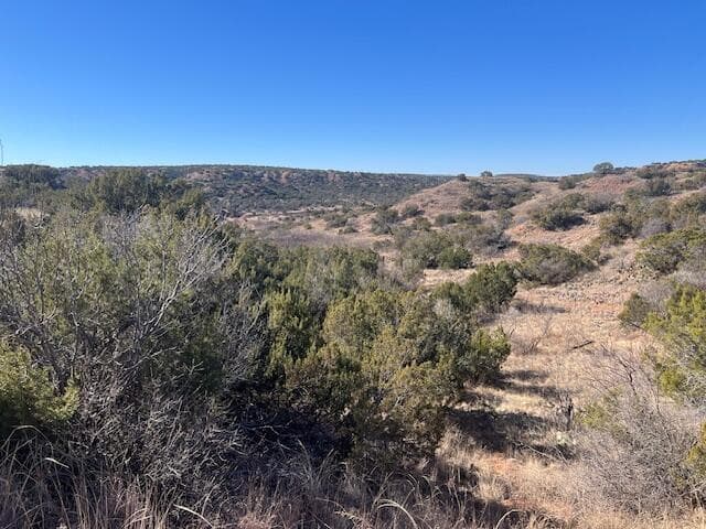 HIghway 70, Turkey, TX 79261, photo 9