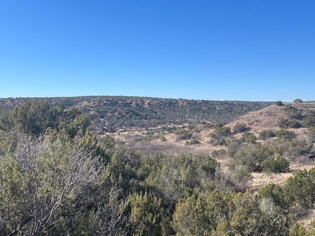 HIghway 70, Turkey, TX 79261, photo 12