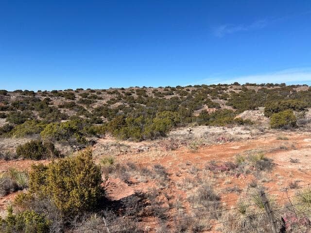 HIghway 70, Turkey, TX 79261, photo 23