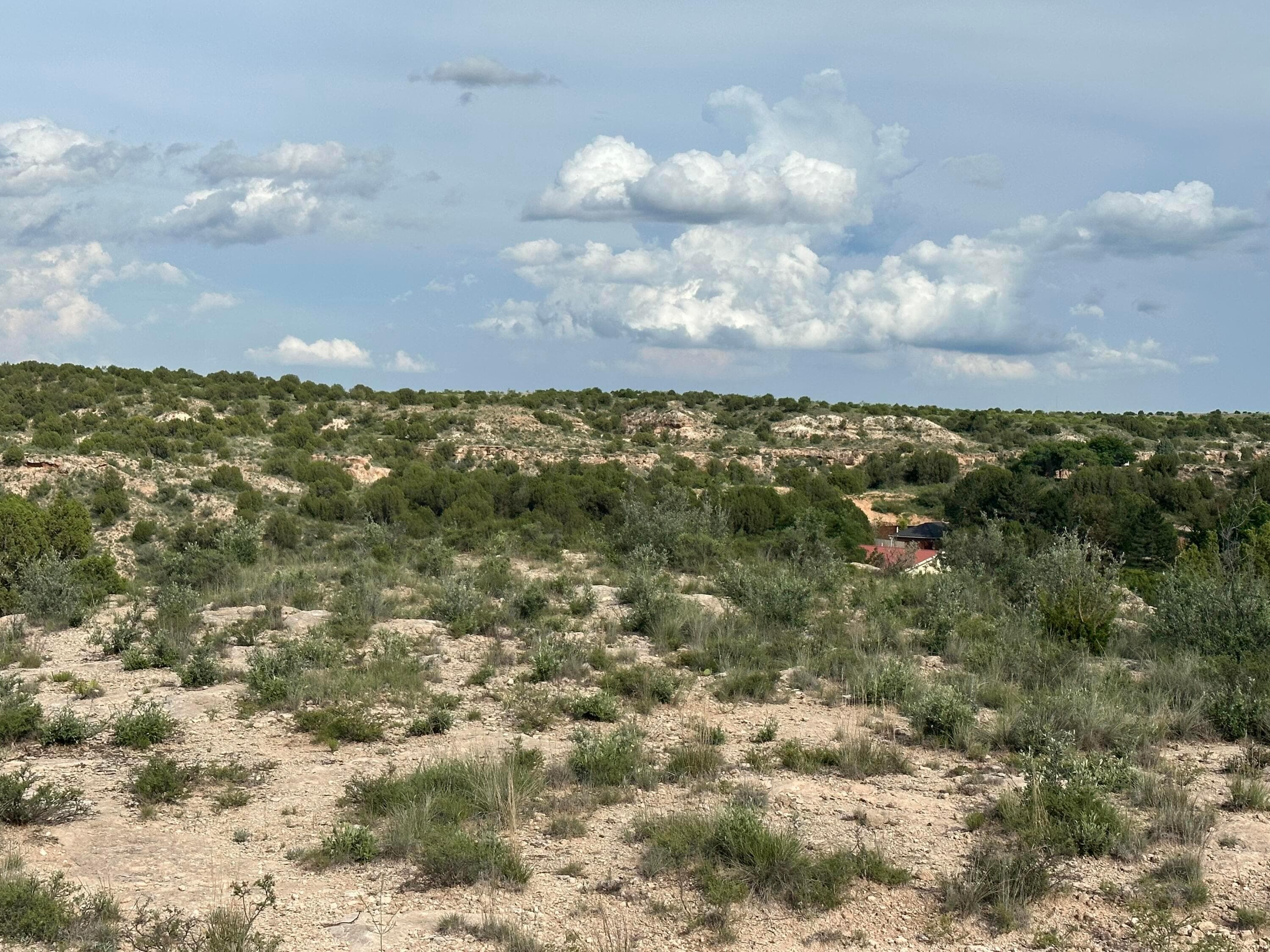 120 Caprock Lane, Amarillo, TX 79118, photo 5