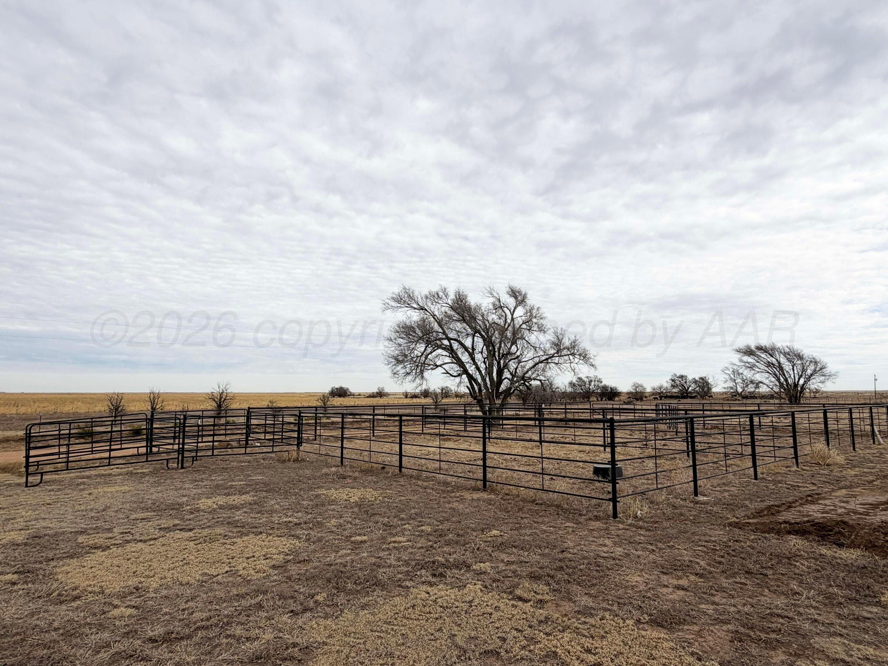 12890 U.S. 287, Stratford, TX 79084, photo 25