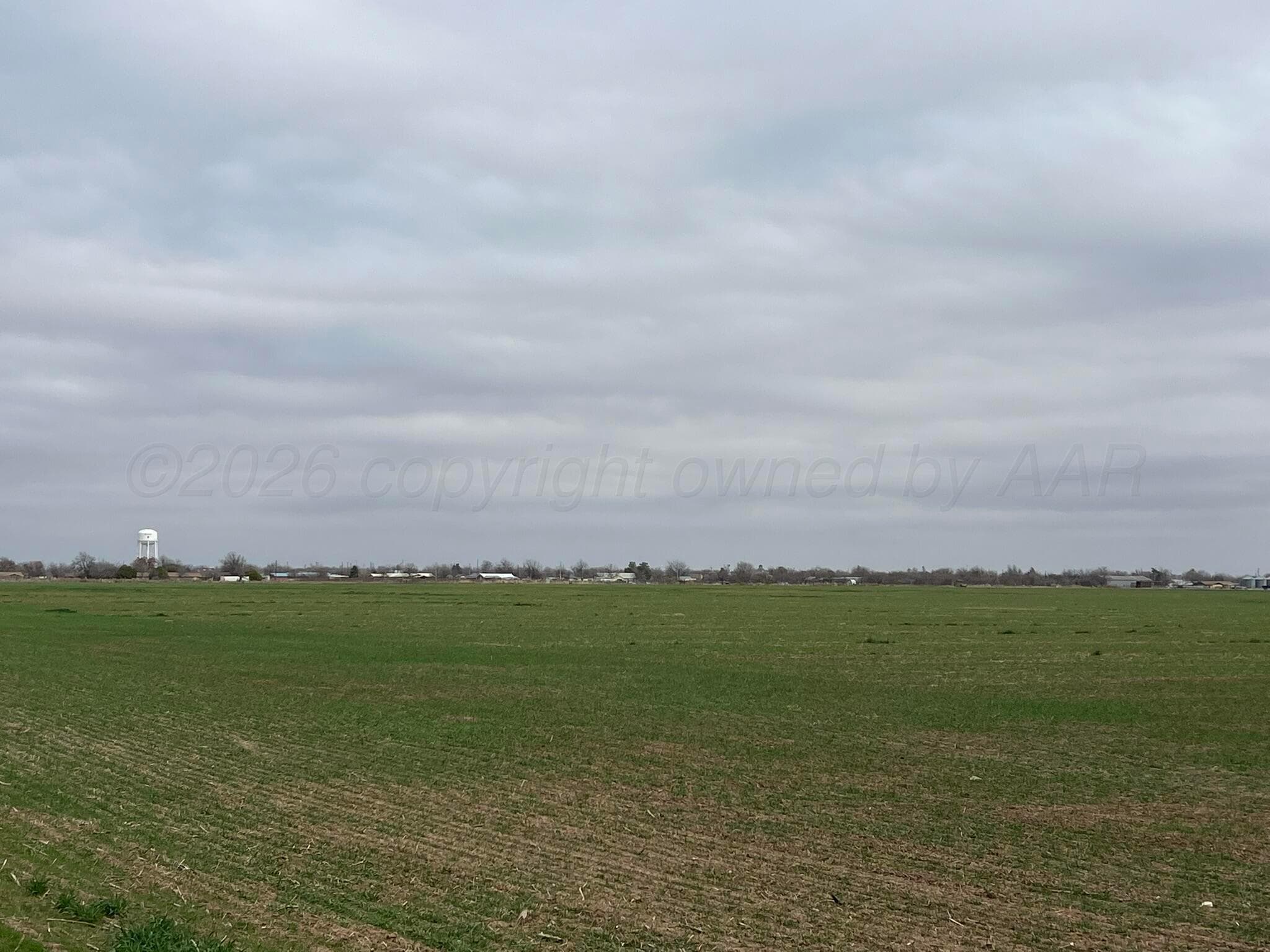 TBD Farm-To-Market 2568, Quanah, TX 79252, photo 4