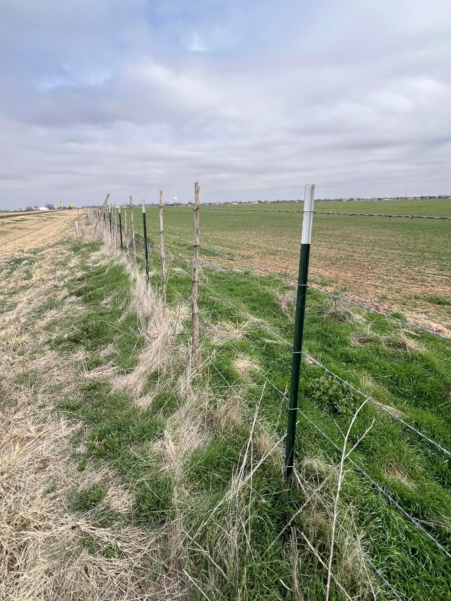 TBD Farm-To-Market 2568, Quanah, TX 79252, photo 6
