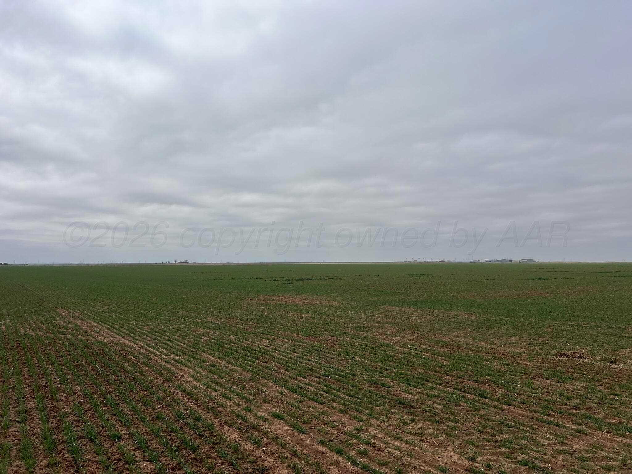 TBD Farm-To-Market 2568, Quanah, TX 79252, photo 8