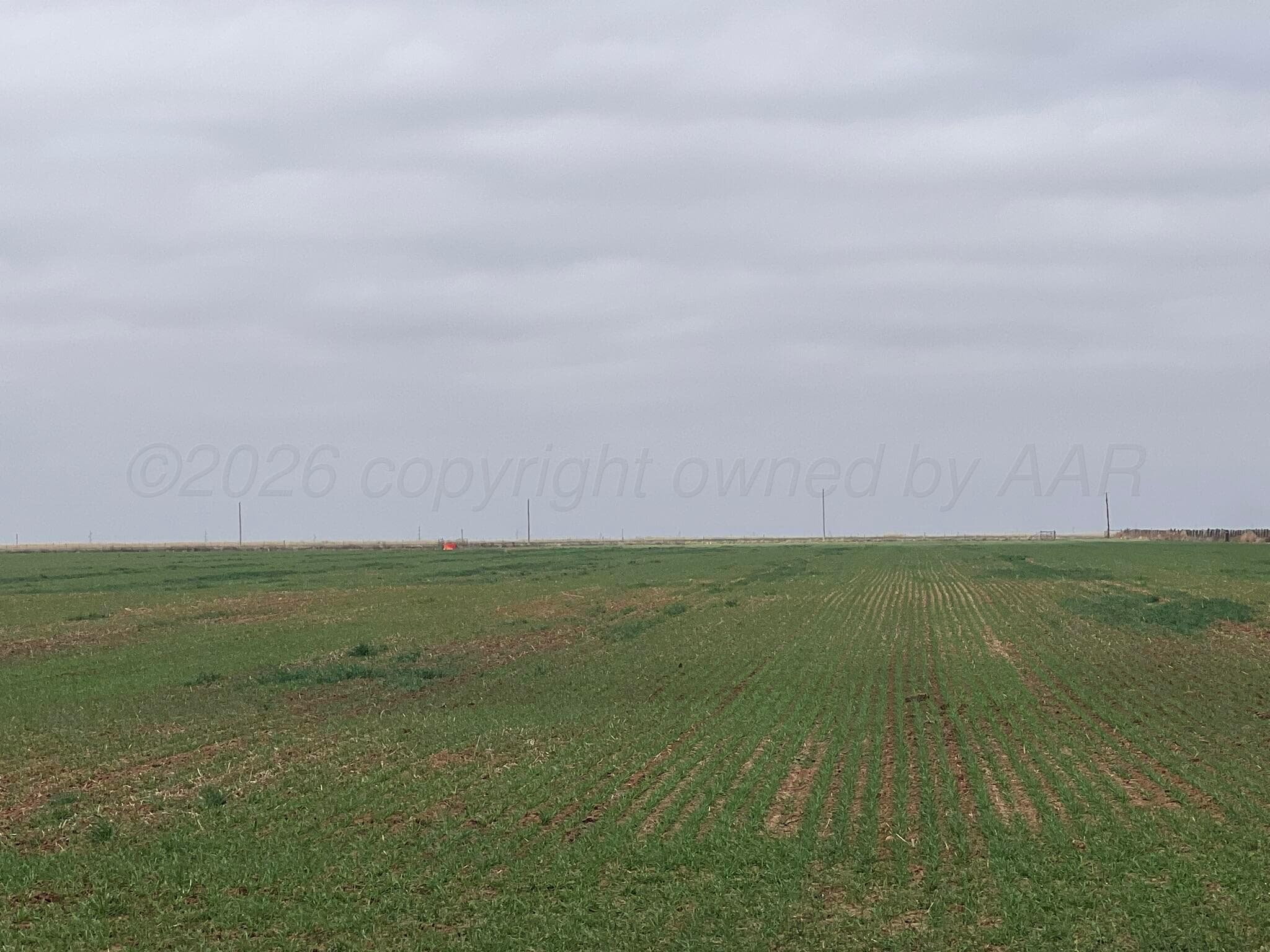 TBD Farm-To-Market 2568, Quanah, TX 79252, photo 10