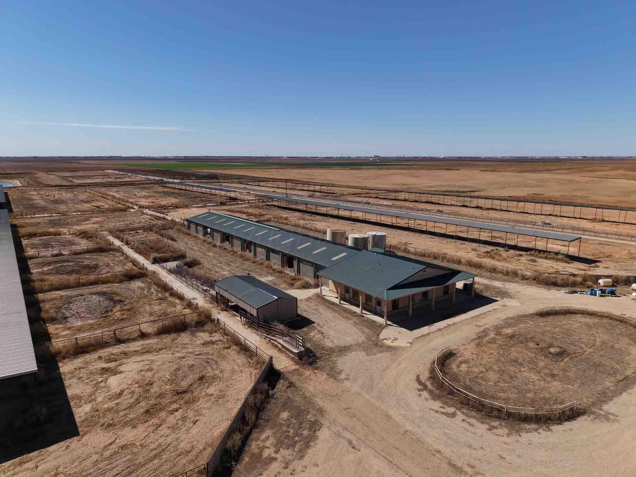 Cal Star Dairy, Brownfield, TX 79316, photo 6