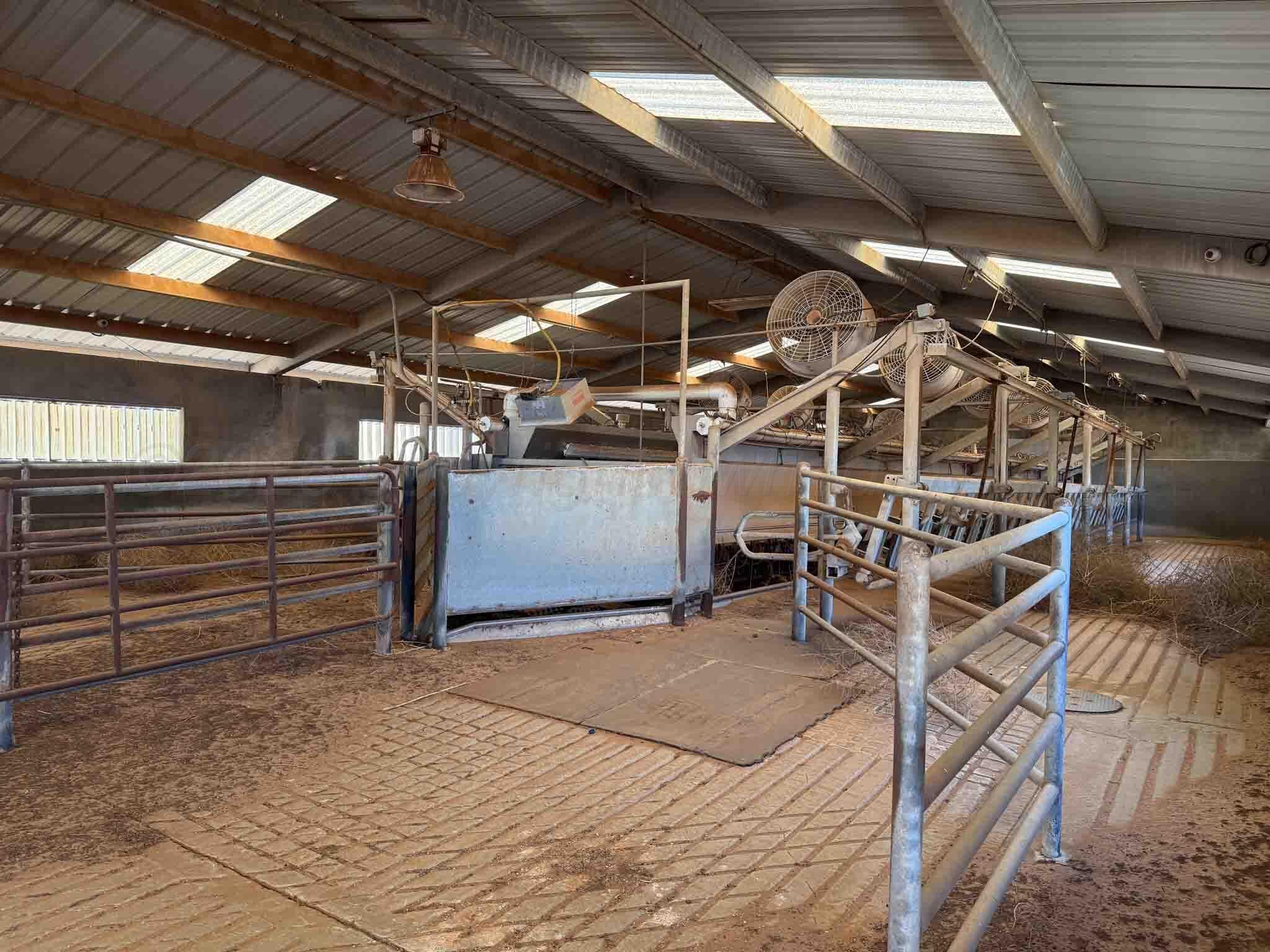 Cal Star Dairy, Brownfield, TX 79316, photo 7