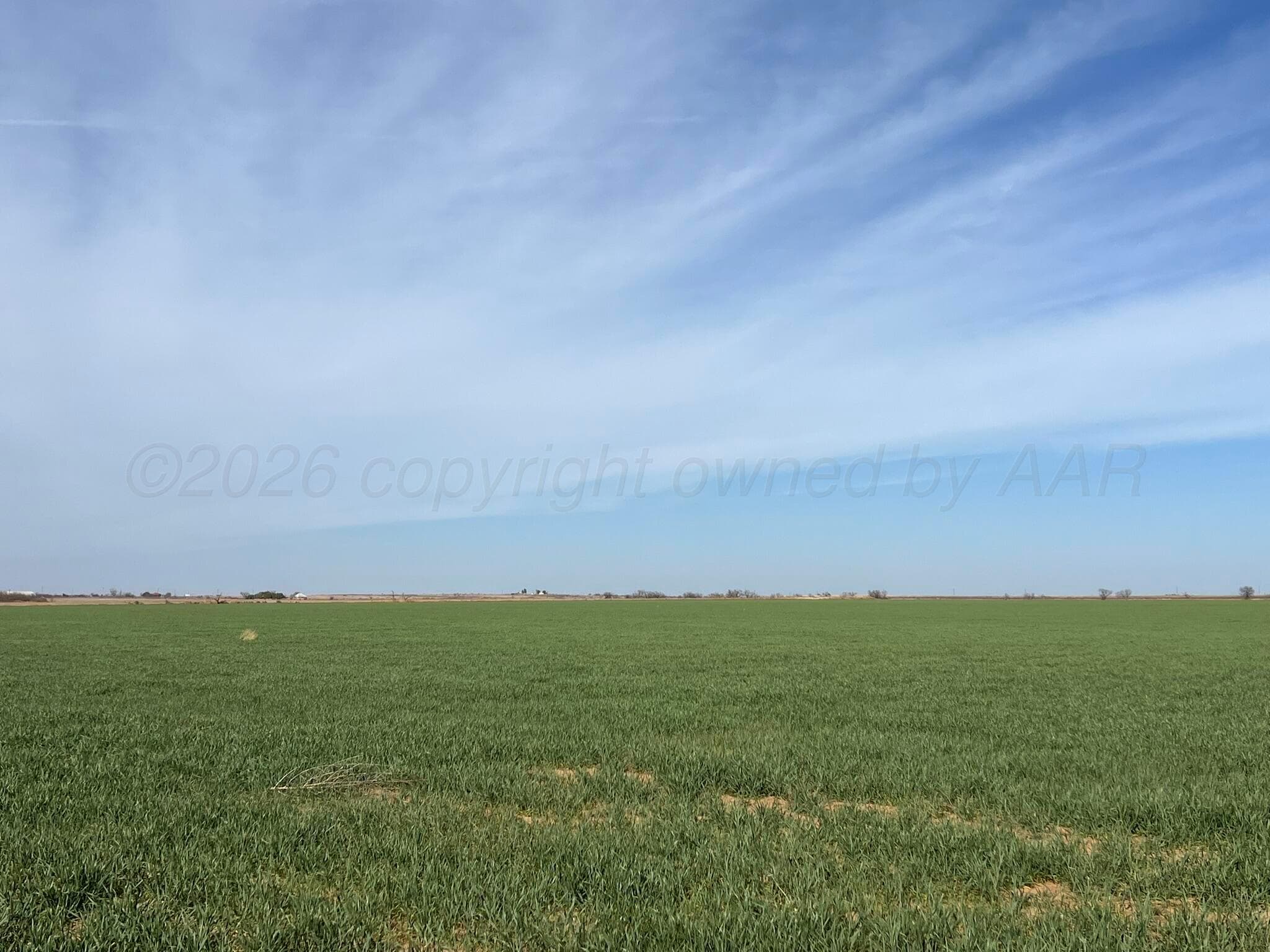 TBD State Highway 6, Crowell, TX 79227, photo 4