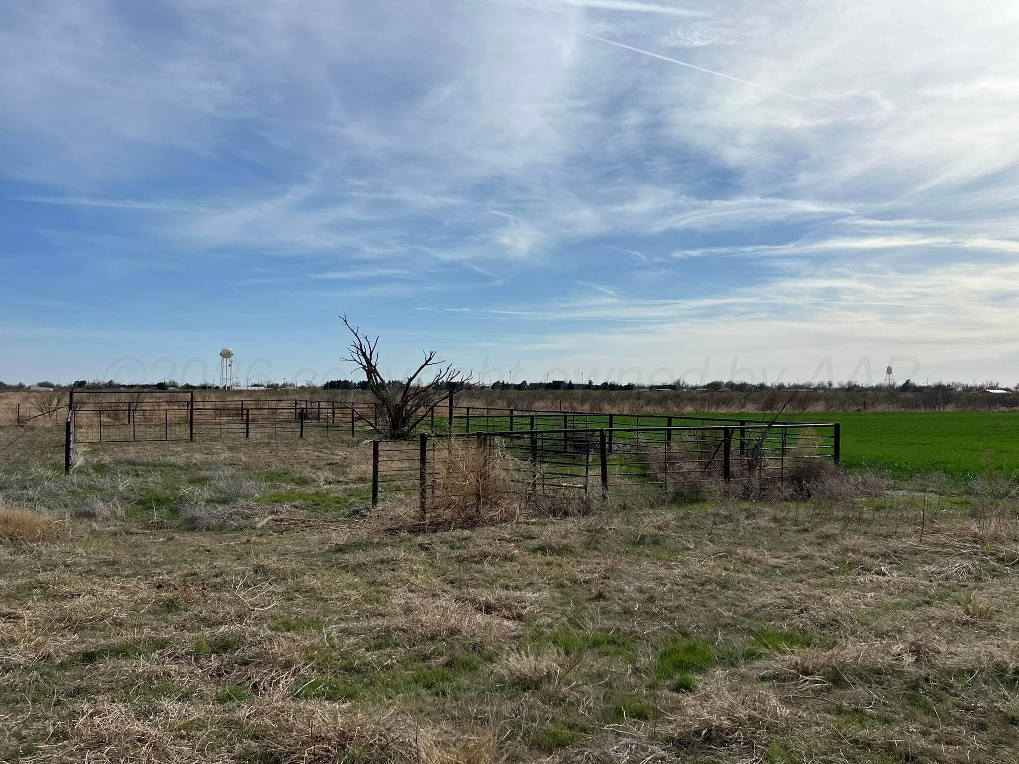TBD State Highway 6, Crowell, TX 79227, photo 14