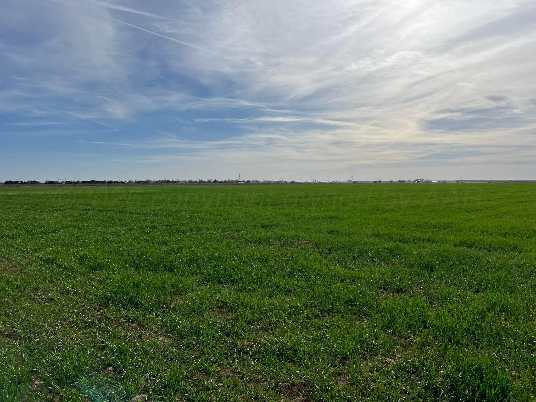 TBD State Highway 6, Crowell, TX 79227, photo 15