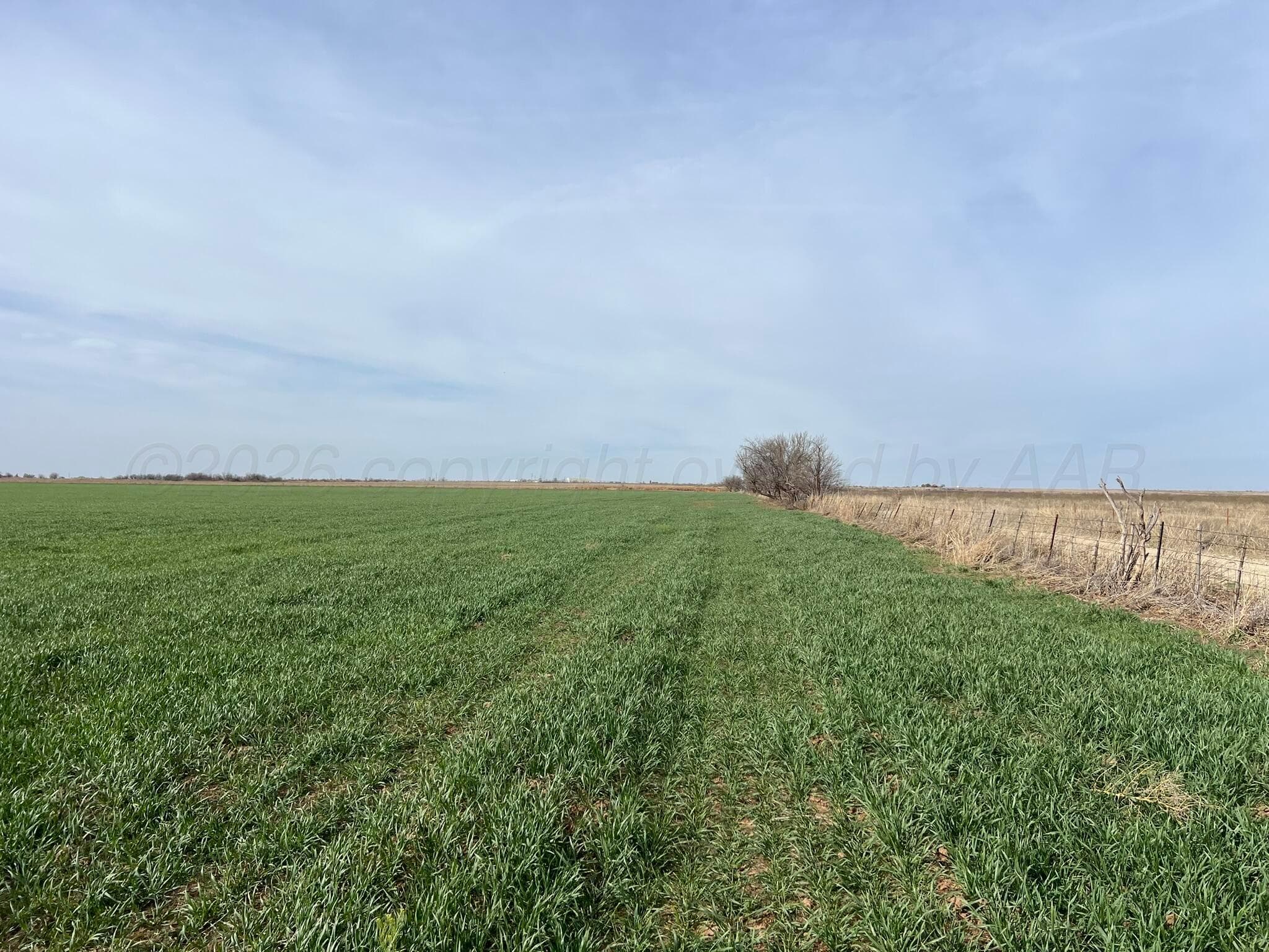TBD State Highway 6, Crowell, TX 79227, photo 17