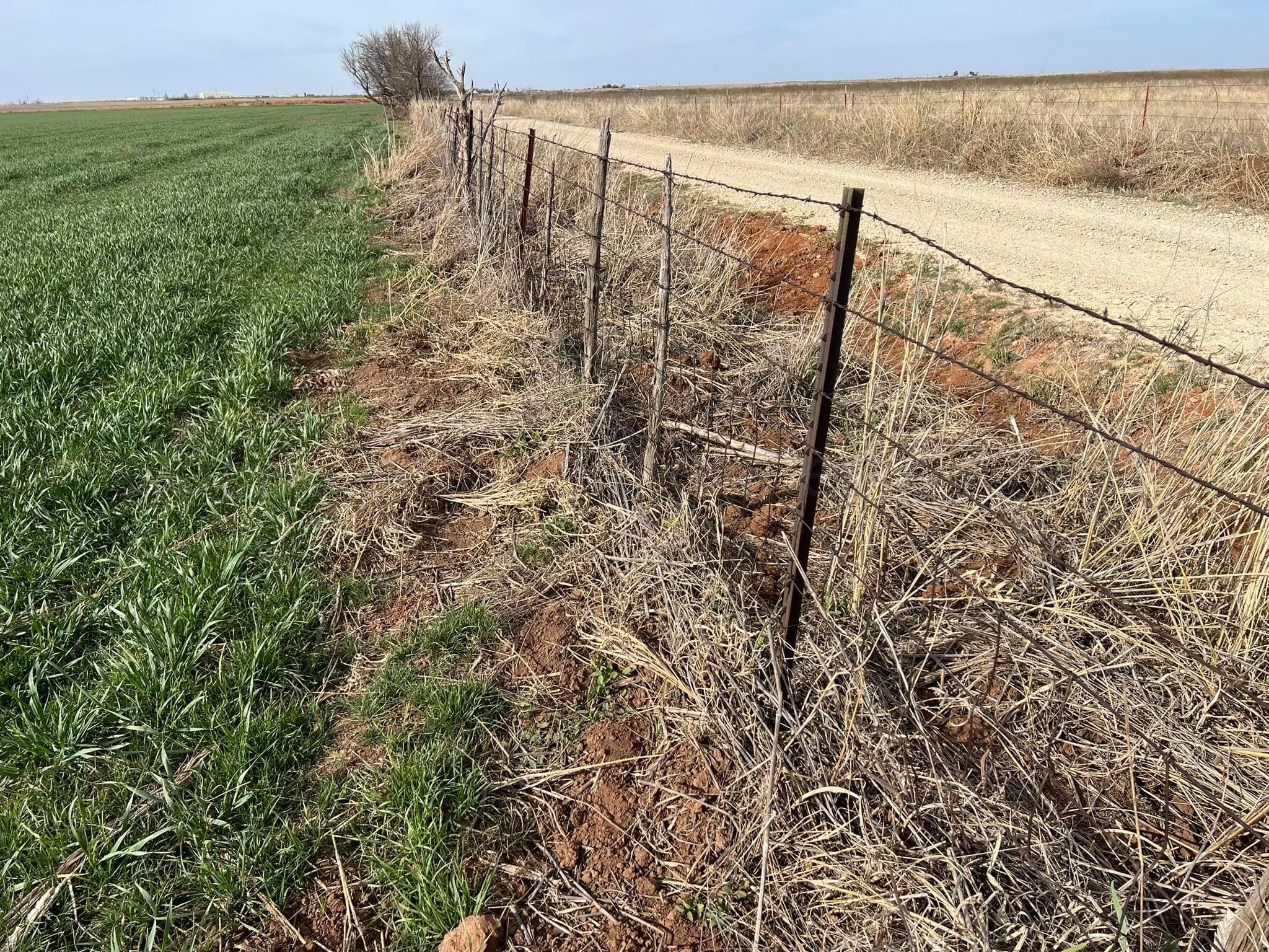TBD State Highway 6, Crowell, TX 79227, photo 18