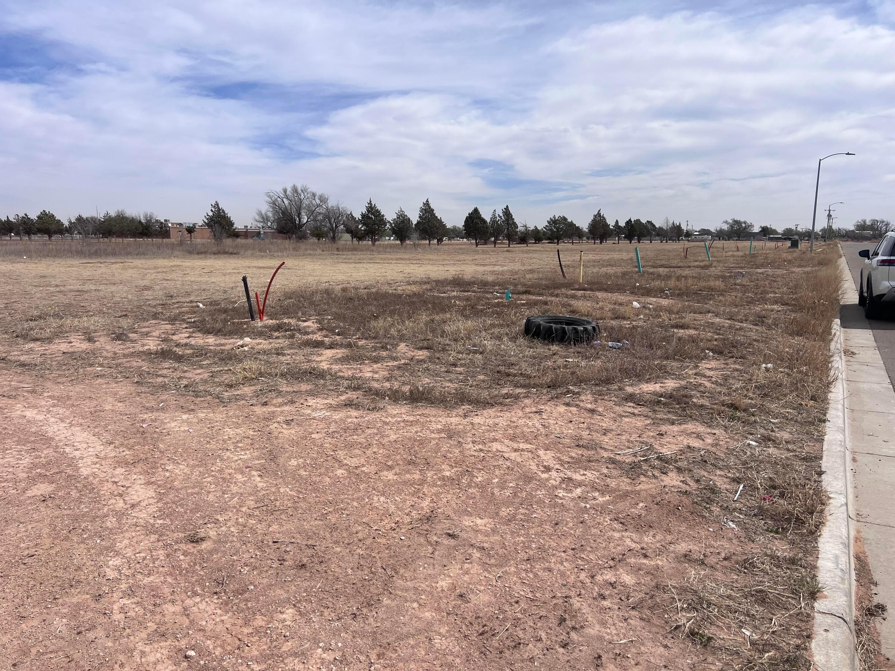842 Torres Drive, Hereford, TX 79045, photo 5