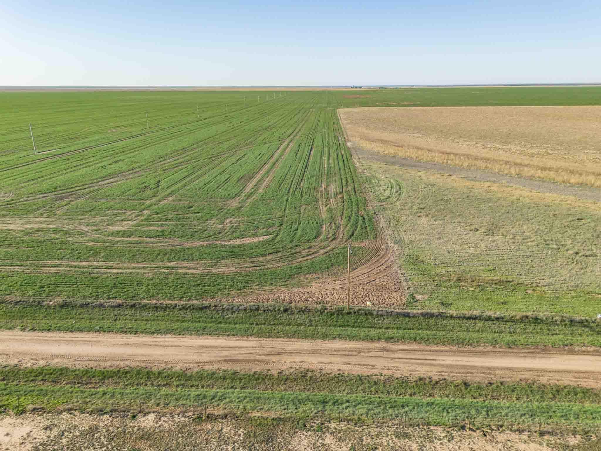 Tract 1 Pullman Road ±75ac, Amarillo, TX 79118, photo 4
