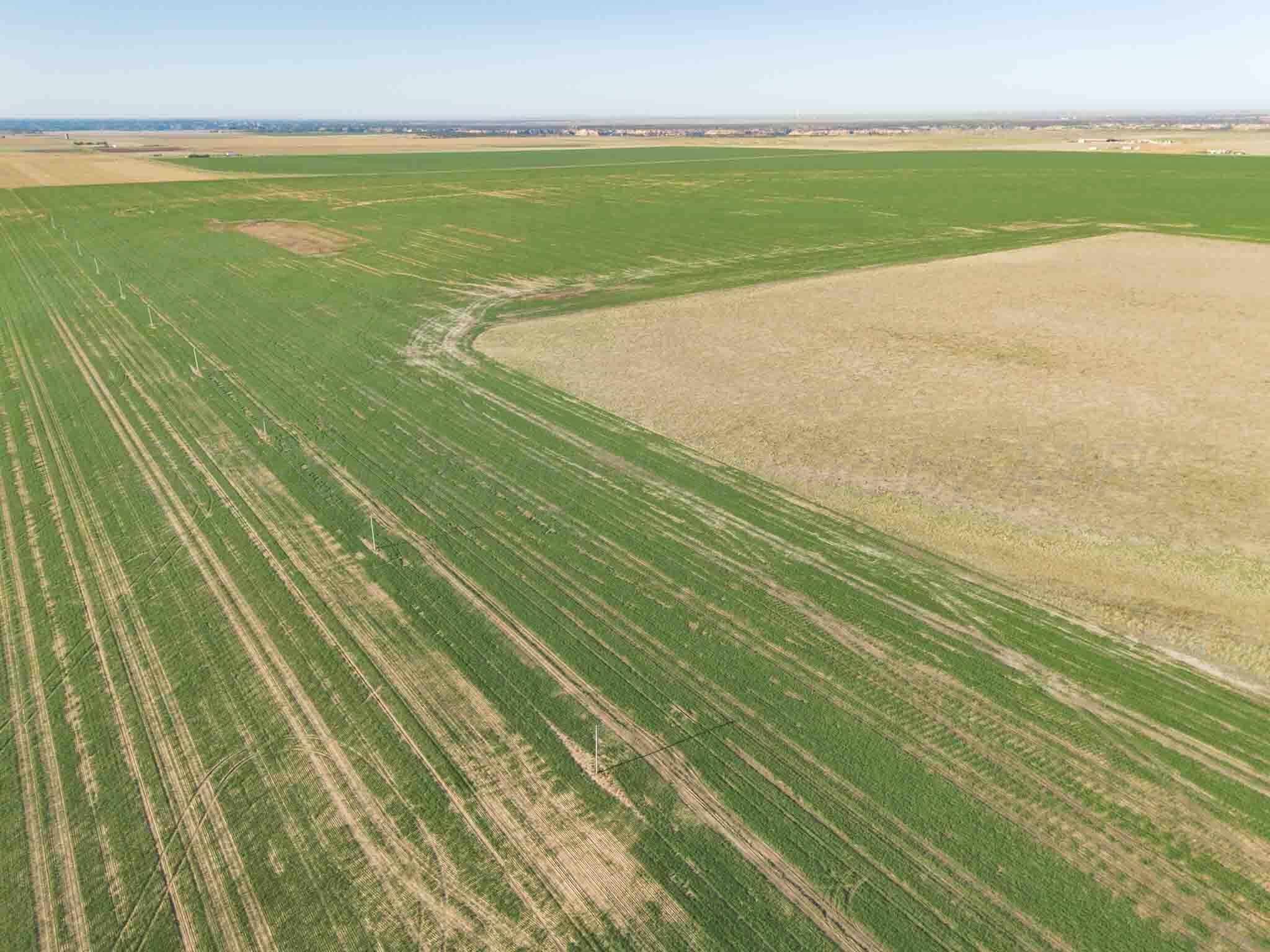 Tract 1 Pullman Road ±75ac, Amarillo, TX 79118, photo 6