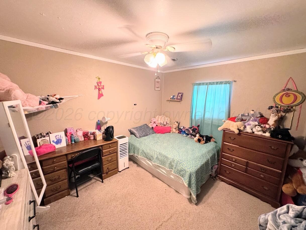 1413 S Harvard Street, Perryton, TX 79070-4414, photo 6