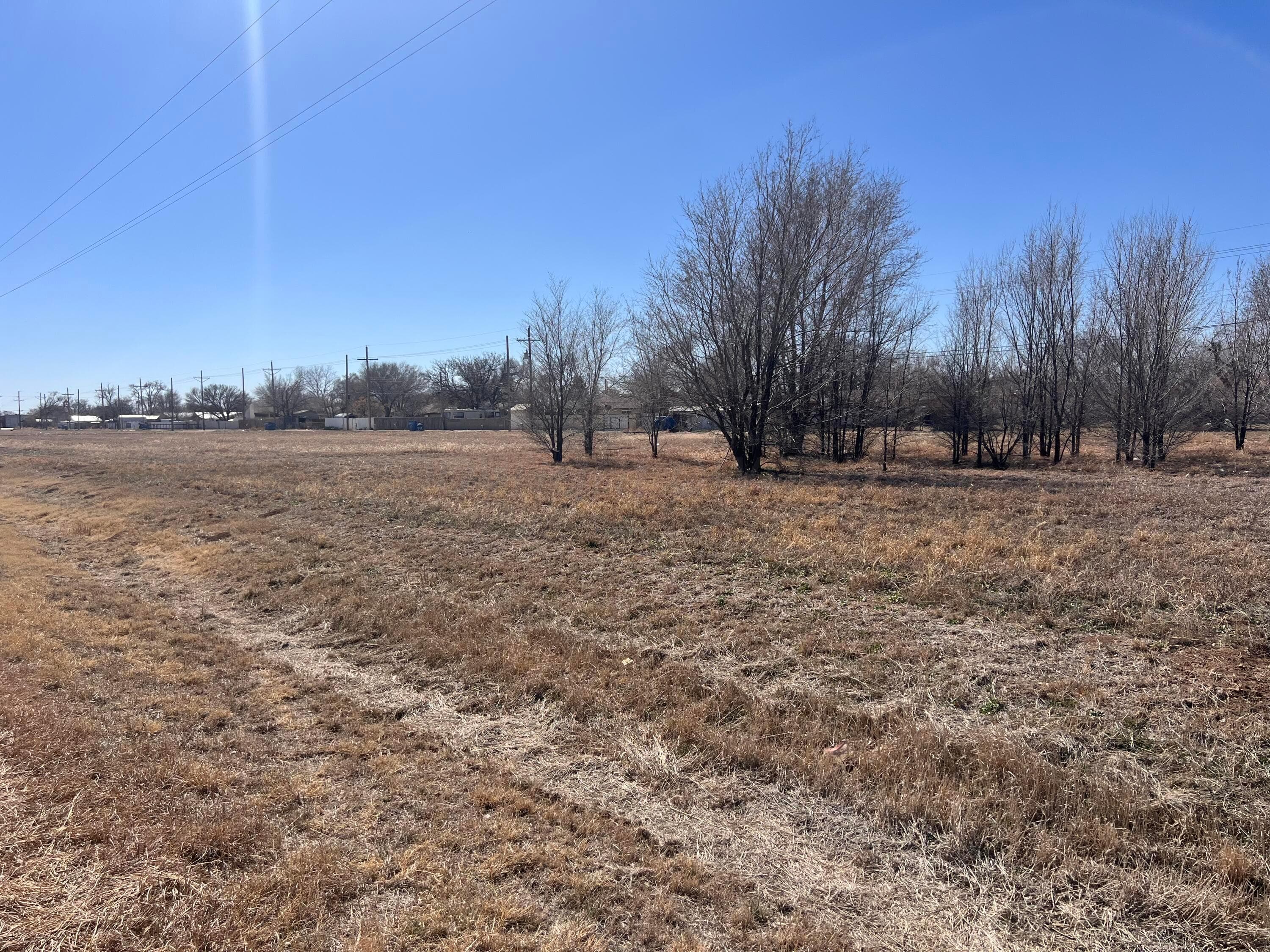 N Whittier Street, Hereford, TX 79045, photo 3