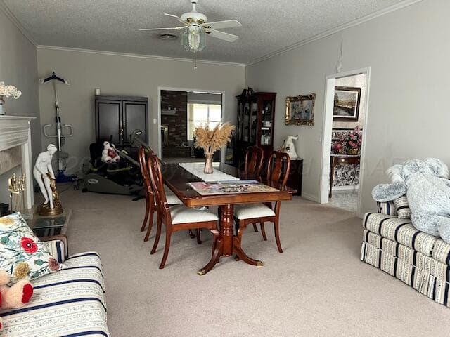 14639 1454 Road, Follett, TX 79034, photo 6