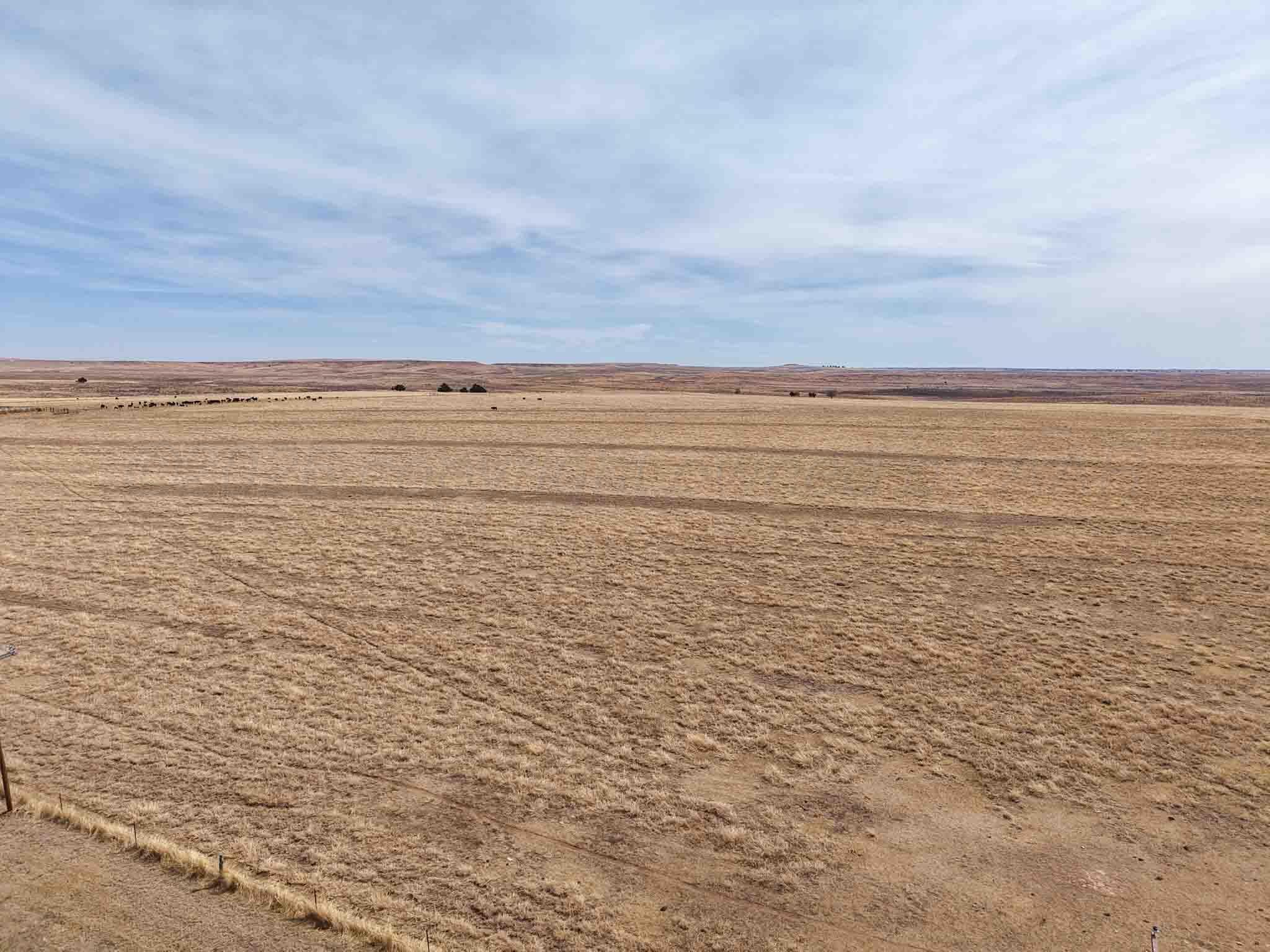 Big Sky Ranch FM 48, Mobeetie, TX 79061, photo 2