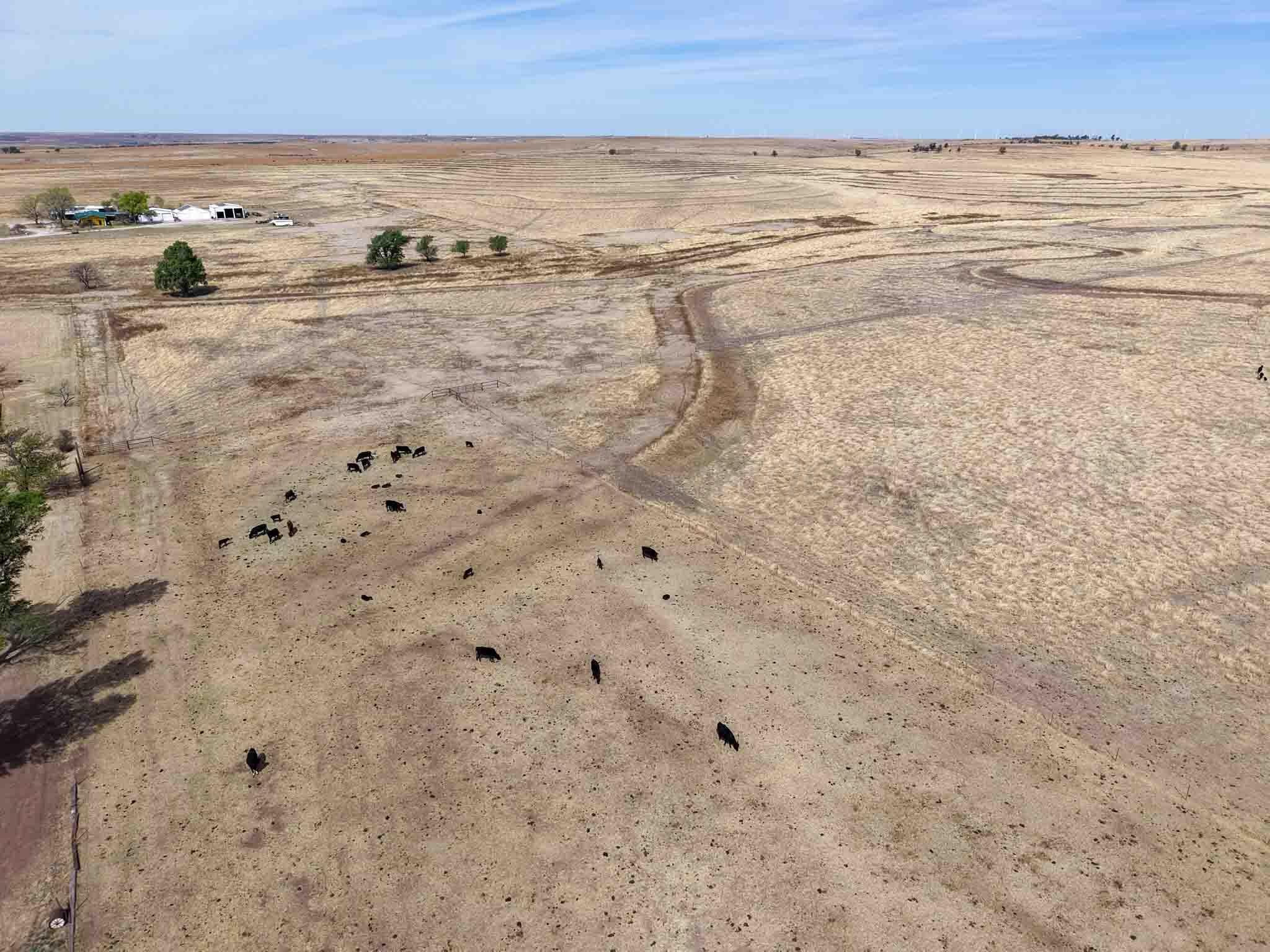 Big Sky Ranch FM 48, Mobeetie, TX 79061, photo 23