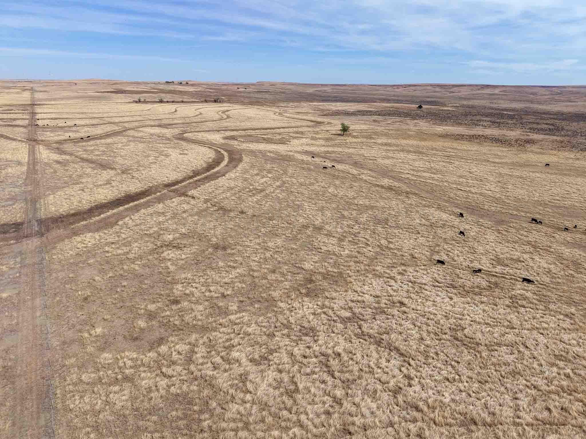 Big Sky Ranch FM 48, Mobeetie, TX 79061, photo 26