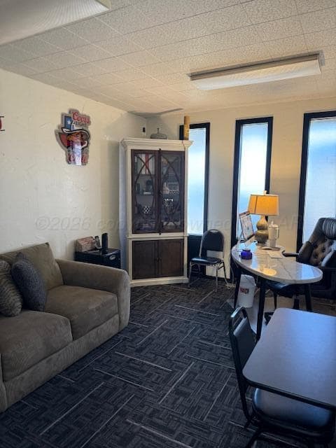 520 SE 24TH Avenue, Perryton, TX 79070-5204, photo 35