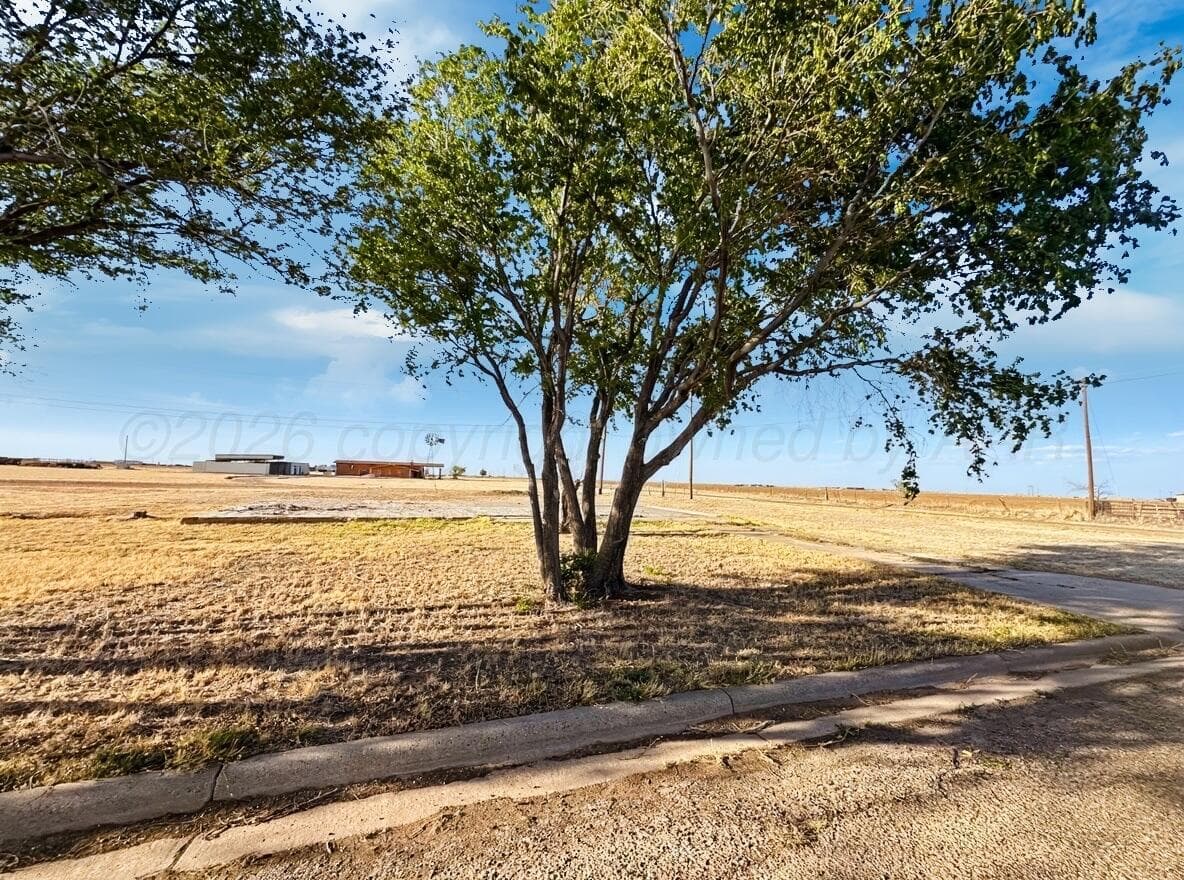 1000 NW 11th Street, Tulia, TX 79088, photo 2