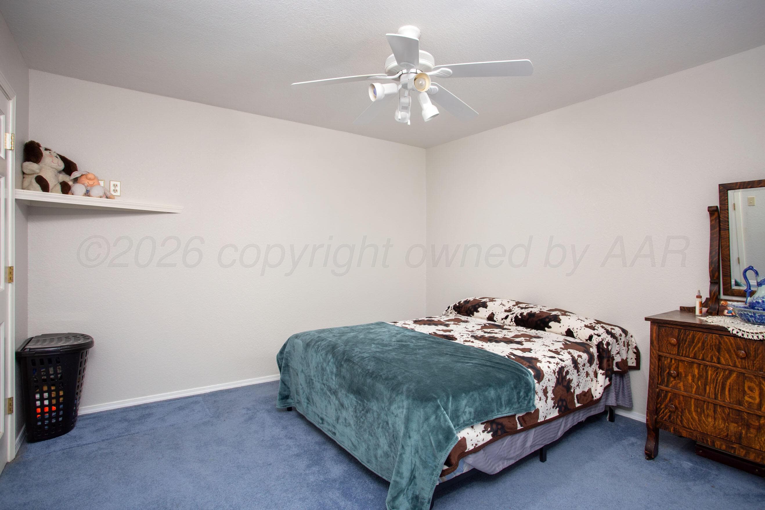 17000 FM 2186, Amarillo, TX 79119-6727, photo 30
