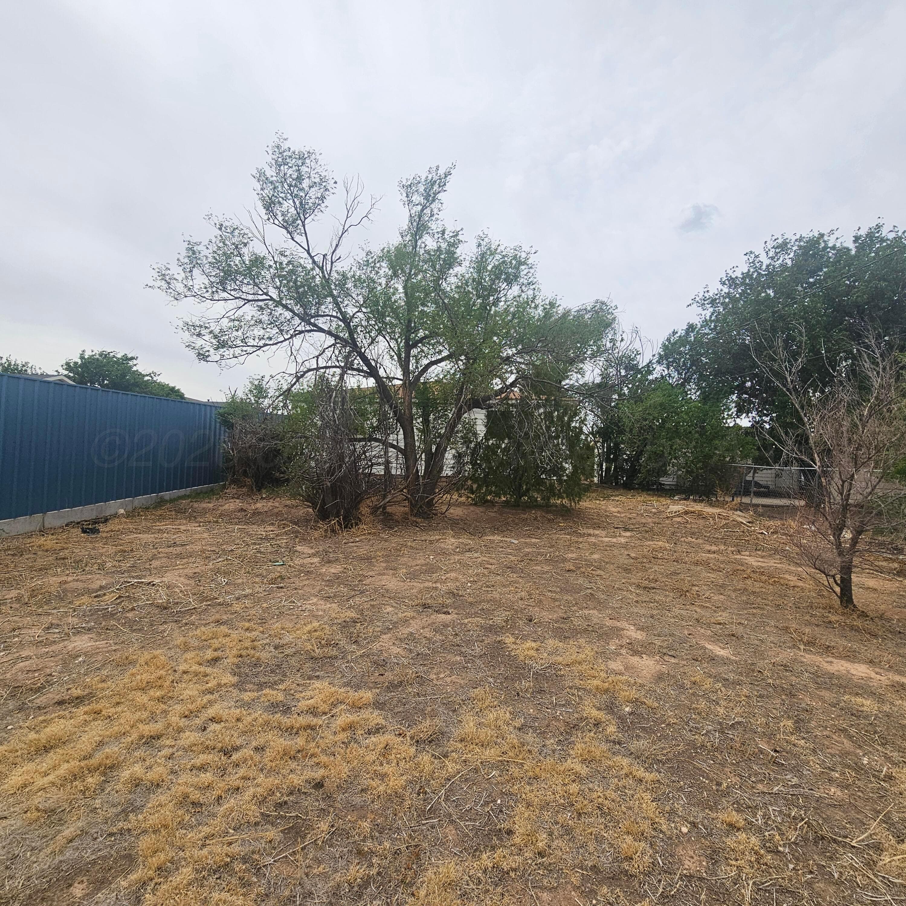 1906 N Washington Street, Amarillo, TX 79107, photo 13